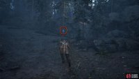 From the first X-marked tree, follow the path around to the left to find this tree on your right.