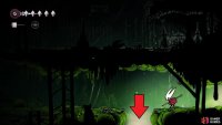 Right outside of the Moss Druid’s home, drop down into this hole.