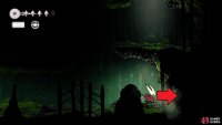 In the bottom right corner of the new room, you can go through here to reach the third berry.