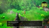 and as hidden items.