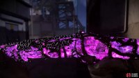 Another extremely animated final mastery camo for those grinding out Zombies. Image via Gamer Guides / Activision.