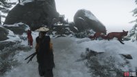 Free the foxes and follow them to a shrine,