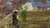 Pick resources as you explore to ensure you have enough for upgrades and trade.