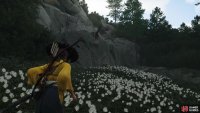 Find a cliff with a grapple point on it west of Husko Kotan,
