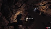 Assassinate some guards to free the dye house proprietor,