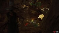 then reach a cavern with paintings on the wall, where you&rsquo;ll find this key.