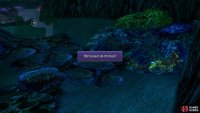There are some chests underwater, so explore thoroughly
