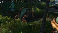 You can find three chests at the end of the one path in Besaid Village