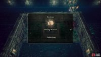 You will also need to have gained the ability to dive from the Diving Manual before you can fully explore the depths of the Water Ruins.