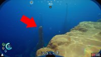 Swim southwest from the Lifepod until you find some spires on a lower shelf.