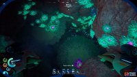 Descend down a shaft filled with teal-and-purple plants,