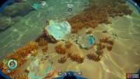 You can also find Quartz growing on broken bits of Coral Domes - just look for the exposed pearlescent interior on the sea floor.