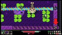 With the water raised, go to the bottom right corner for a secret passage that leads to a Trinket.