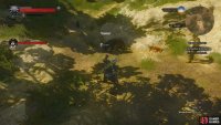 Use Axii to calm a trapped panther,