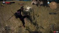 While under the effects of Yrden, wraiths will take significantly more damage from your swords.