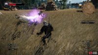 Drop a Yrden glyph and incorporeal foes - like Wraiths - will be forced to adopt a material form.