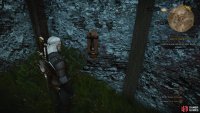 Defeat the beast and pull a lever on the wall of the ruins.