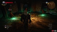 When you reach the bottom, a host of high-level, invulnerable Wraiths will materialize to oppose you.
