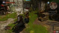 Defeat some bandits along the lower reaches of Mont Crane Castle,