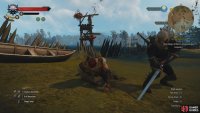 You can grind up cash by killing bandits around Velen,