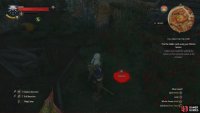 then claim the hidden Gwent cards.