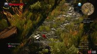 Follow a trail of shoes into the woods,