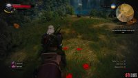 but your real objective is to chase the Witch Hunter who fled with Dandelion - track him to the north,