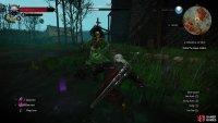 You’re probably better off sticking to using Yrden and working on whittling the Pesta’s health down.