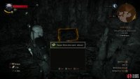After the Water Hag is slain, loot a chest to score the diagram for the Enhanced Wolven Silver Sword,