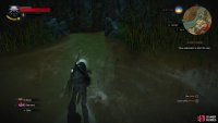 in the river nearby you’ll find a submerged cave you can swim into.