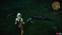 then collect the ingredients you need for some blade oil - the Dog’s Tallow and Wolf’s Liver can be obtained from the corpses of the Wolves you have to slay,