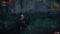 You’ll be accosted by Drowners and Hounds of the Wild Hunt as Ciri,