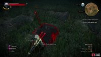 Before you return to Quartermaster Eggebracht, however, search the Wyvern&rsquo;s feeding grounds to find some graves,