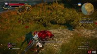 Examine the corpse of a dog and some nearby tracks,