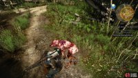 Search the grass and a corpse near the well to identify your target.