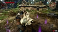 You’ll next need to investigate the well, and if the Noonwraith attacks, use Yrden and a simple attack/dodge combo to compel her to flee.