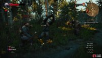 You can use Axii to disperse the goons, give them a cure to their friend’s ailment, or solve things with a bit of steel.