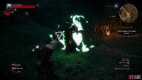 Once the Wraiths are banished, quickly use Axii on the Botchling to calm it down, lest it turn hostile.