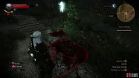 then investigate a decapitated horse,