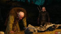 The spirit isn’t alone in interrupting the ritual however, as some Witch Hunters will also arrive. If you don’t intervene, the quest will end and the Pellar will be quite unhappy with you.
