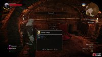 which opens a chest near his throne, which in turn contains a “Message from Igor”.