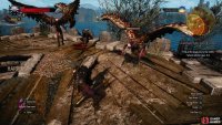 Use Quen to protect yourself from Harpy attacks, and to knock them out of the sky,