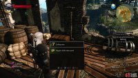 then climb a ladder to find a chest containing the Diagram: Griffin Silver Sword.