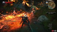 The Nekkers are numerous, weak, and focused on the Troll - perfect time to use Igni!