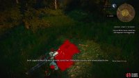 then follow a blood trail to a shallow grave.