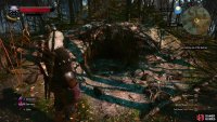 and follow the tracks to Johnny’s burrow.