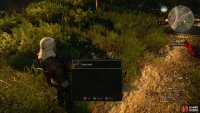 After the fight, search the ground for a Crystal Skull - more signs of Yennefer’s passage.