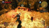 kill the Wild Dogs near his corpse,