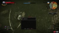 then dive to find the Leather Sack Triss is looking for.
