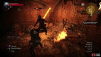 Join forces with Triss to defeat a Drowner,